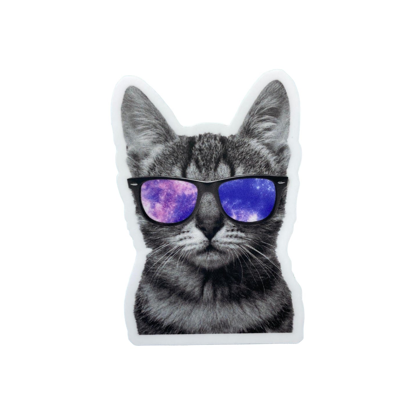 Cat in Sunglasses Sticker