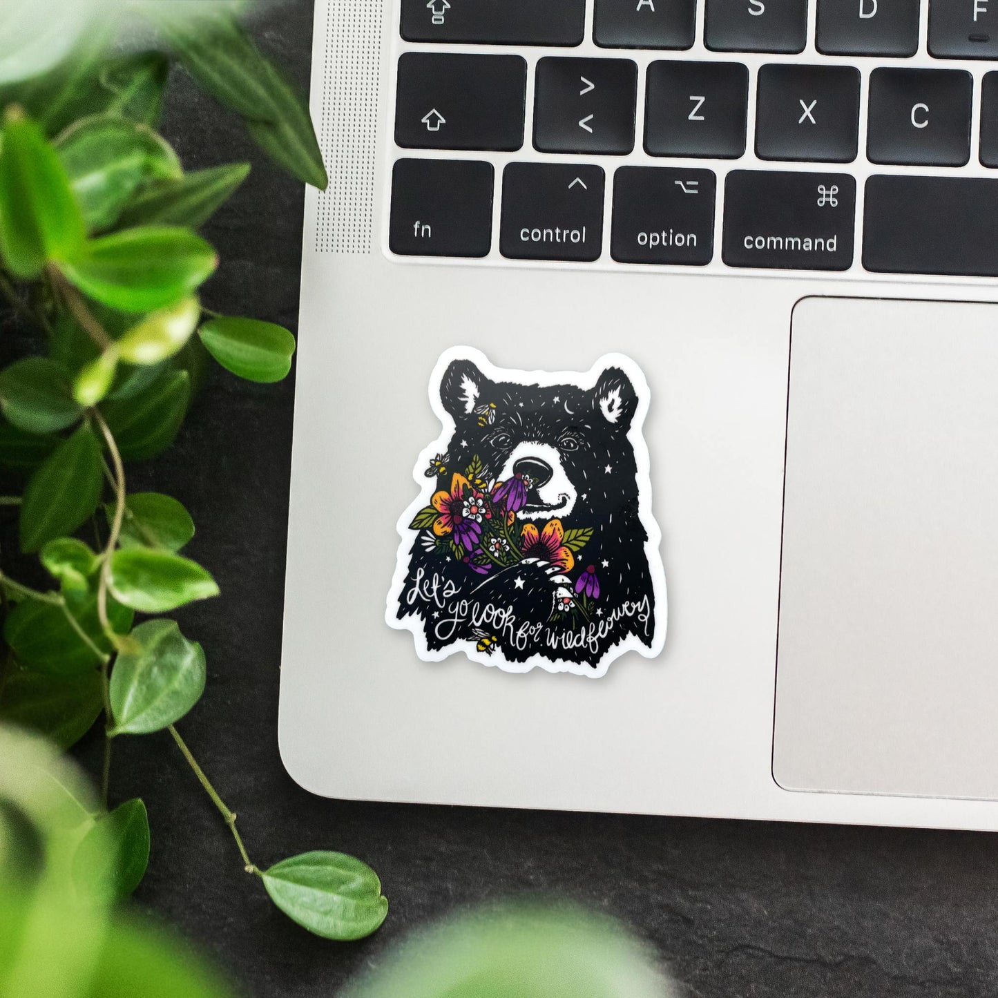 Let's Go Look for Wildflowers Bear Sticker