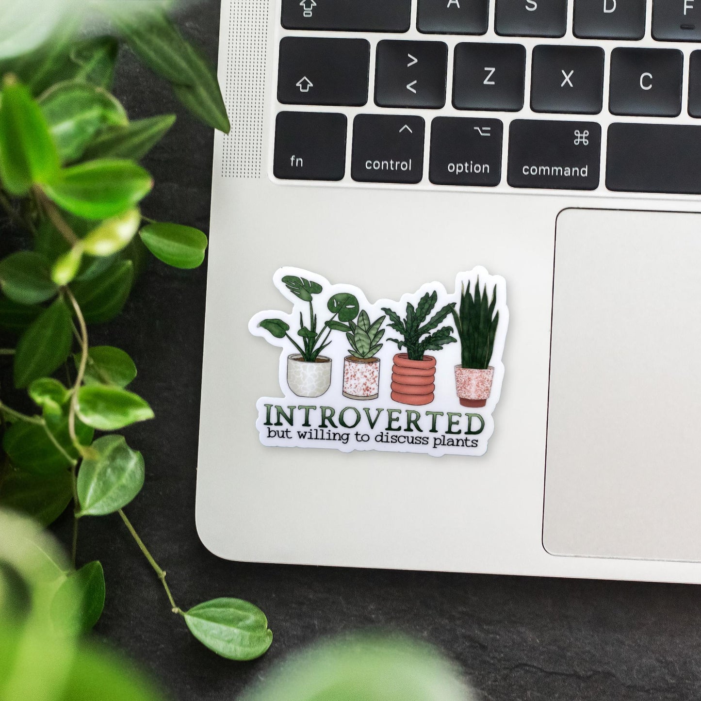 Introverted but Willing to Discuss Plants Sticker