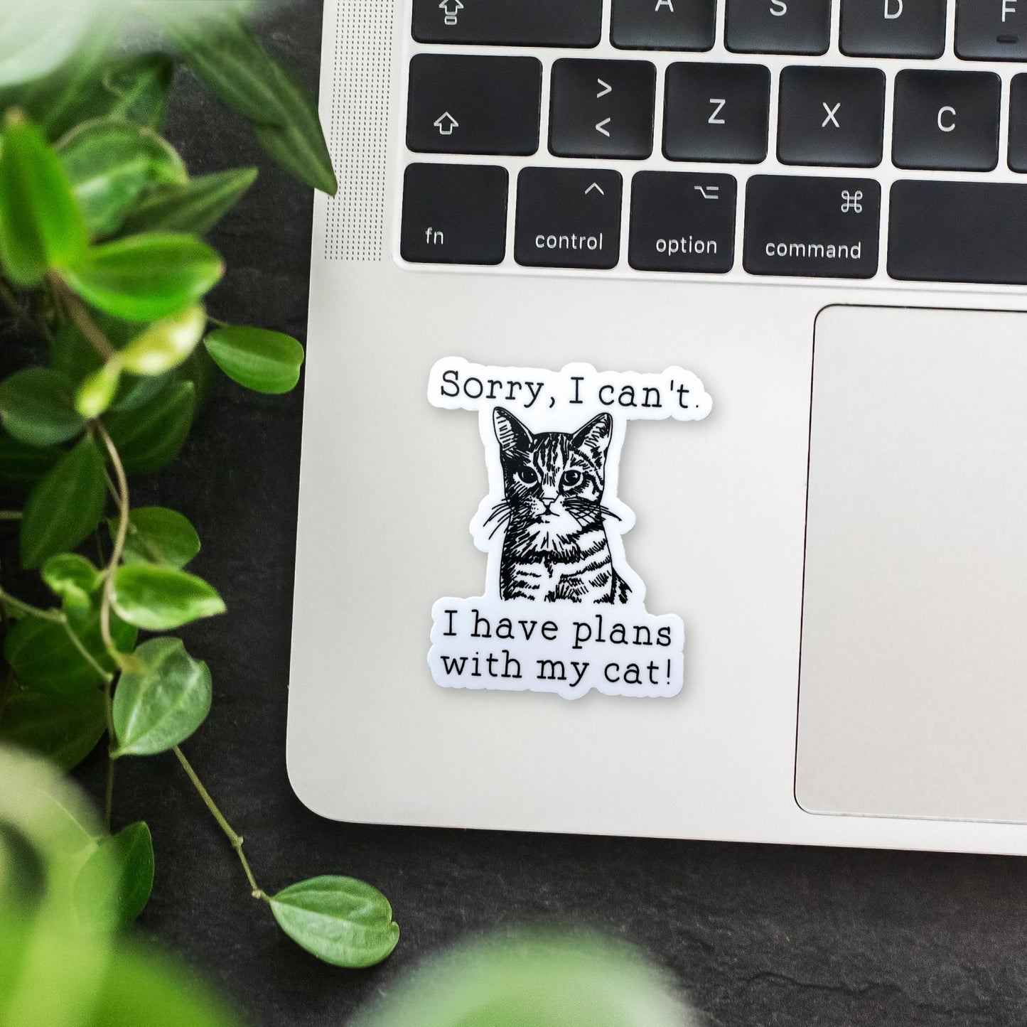 Sorry, I can't I Have Plan with my Cat Sticker