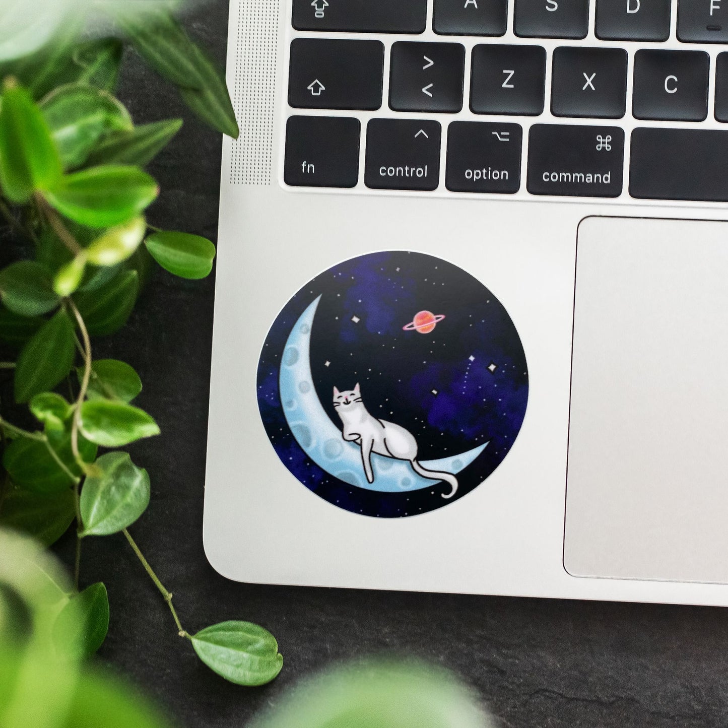 Space Cat Circle Vinyl Sticker